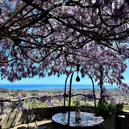 Il Noceto Dell'Etna Bed & Breakfast Giarre Dış mekan fotoğraf