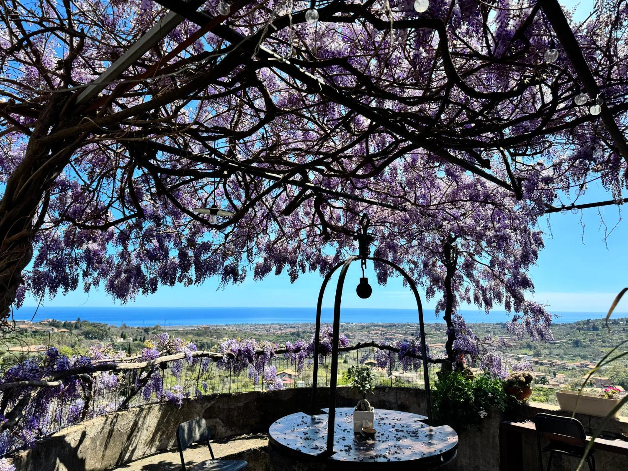 Il Noceto Dell'Etna Bed & Breakfast Giarre Dış mekan fotoğraf